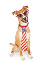 Patriotic American Dog Wearing Tie and Glasses Royalty Free Stock Photo