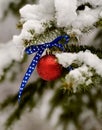 Patriotic Christmas ornament Royalty Free Stock Photo
