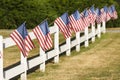 Patriotic display of American flags waving on white picket fence in small town USA