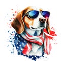 Patriotic Dog Bandana USA Flag, Beagle Dog Wearing Sunglasses And Scarf, Watercolor Style Isolated On White Background.