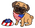 Patriotic dog cute pug with dog food Royalty Free Stock Photo