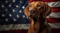 patriotic dog with flag Royalty Free Stock Photo