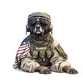 Patriotic Dog Wears a Pilot Style Uniform of the American Military Air Force Celebrating 4th of July freedom, Generative AI