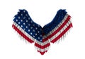 Patriotic eagle feather wings Royalty Free Stock Photo