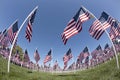 Patriotic Flag Display Royalty Free Stock Photo