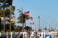 Patriotic flags in Newport Beach Harbor California Royalty Free Stock Photo