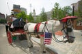 Patriotic horse and carriage with flags in front of Independence Hall, Philadelphia, Pennsylvania