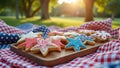 Patriotic star-shaped cookies on plaid picnic blanket in sunlit park setting Royalty Free Stock Photo