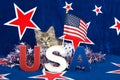 Patriotic tabby kitten Royalty Free Stock Photo