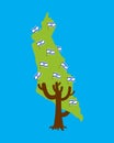 Patriotic tree Israel map. Israeli flag.