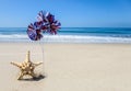 Patriotic USA background with starfish on the sandy beach Royalty Free Stock Photo