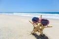 Patriotic USA background with starfish on the sandy beach Royalty Free Stock Photo