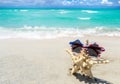 Patriotic USA background with starfish on the sandy beach Royalty Free Stock Photo