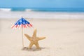 Patriotic USA background with starfishes Royalty Free Stock Photo