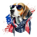 Patriotic Dog Bandana USA Flag, Beagle dog wearing sunglasses and scarf, Watercolor style isolated on white background. Royalty Free Stock Photo