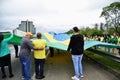 Patriots wave the Brazilian flag at the Via Dutra demonstration