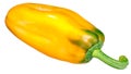 Patrizia sweet pepper pod, top paths Royalty Free Stock Photo