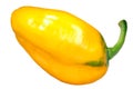 Patrizia sweet pepper pod, top paths Royalty Free Stock Photo