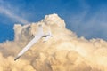 Patrolling unmanned aircraft in the sky against the backdrop of powerful thunderstorm clouds Royalty Free Stock Photo