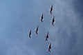 Patrouille de France airshow french army