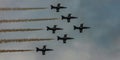 Patrouille suisse aerobatic squadron from the swiss air force