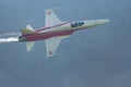 Patrouille Suisse Northrop F-5E Tiger II jet in Mollis in Switzerland