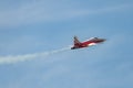 Patrouille Suisse Northrop F-5E Tiger II jet in Mollis in Switzerland