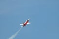 Patrouille Suisse Northrop F-5E Tiger II jet in Mollis in Switzerland