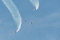 Patrouille Suisse Northrop F-5E Tiger II jet in Mollis in Switzerland