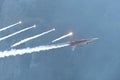 Patrouille Suisse Northrop F-5E Tiger II jet in Mollis in Switzerland