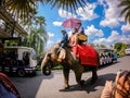 People or travellers ride elephantÃ¢â¬â¹s tour park at Garden landscape of Suan Nongnooch