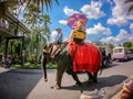 People or travellers ride elephantÃ¢â¬â¹s tour park at Garden landscape of Suan Nongnooch