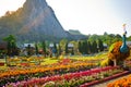 Pattaya, Thailand - december 6, 2019: Silverlake is vineyard in the countryside of Pattaya, Thailand.