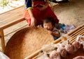 Shy baby in Padaung Tribe Village of Long Neck People