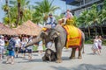 Pattaya, Thailand : Tourists riding the elephant