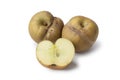 Patte de loupe apples Royalty Free Stock Photo