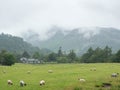 Patterdale Royalty Free Stock Photo