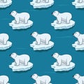 Seamless pattern of Polar Bear, Isolated white bears sitting on icebergs at Arctic. Royalty Free Stock Photo