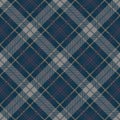 Tartan seamless pattern, grey , navy blue , pink Royalty Free Stock Photo