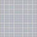 Tartan seamless pattern, grey , white Royalty Free Stock Photo
