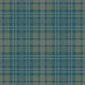 Tartan seamless pattern, green , yellow , white Royalty Free Stock Photo