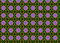 Green pattern with purple circles Royalty Free Stock Photo