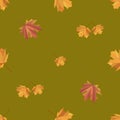 Pattern abstraction leaf yellow maple brown vector
