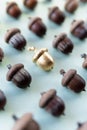 Pattern of acorns on natural green background with one golden acorn in the middle