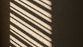 Pattern of alternating light and dark stripes, creating a contrasting Royalty Free Stock Photo