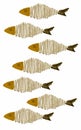 a pattern of animal fish with wood bones texture issolated on white Royalty Free Stock Photo