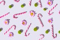 Pattern arrangment of red and white striped candy canes with lovely pink daisies and fresh green zinnia flower. Top view