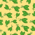 Pattern arugula Seamless, cute arugula background, for banner wall wallpaper pattern can be editable eps file, etc