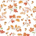 Pattern with autumn foliage and mushrooms. tree branches: oak, maple, birch, chestnut and rowan