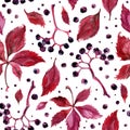 Pattern Autumn leaves watercolors Maple Leaf on white background. Coloured bright leaves hand-painted, paint, taktura Royalty Free Stock Photo